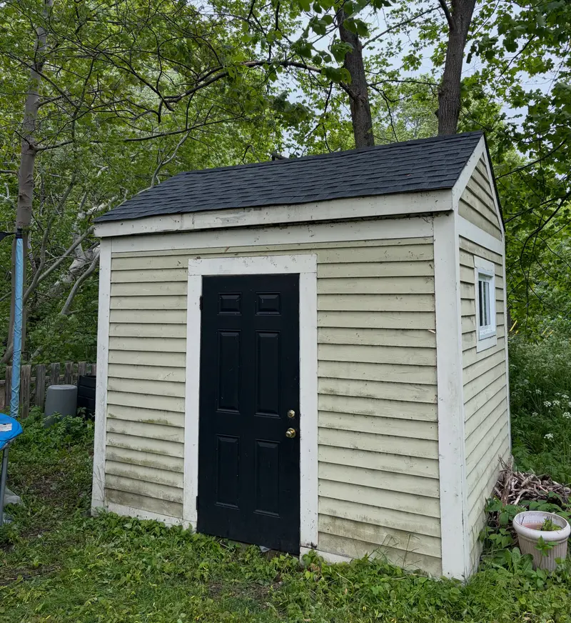 Small shed with a new shingled roof and a black door